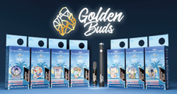 A row of boxes with the word Golden Buds on them.

Description generated by AI